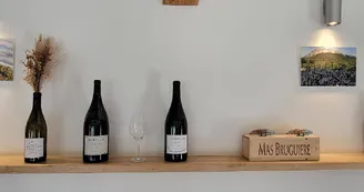 Mas Bruguière Mas Bruguière