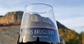 Mas Bruguière Mas Bruguière