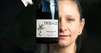 Domaine de la Triballe Domaine de la Triballe