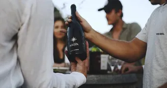 Domaine du Poujol Domaine du Poujol