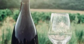Domaine du Poujol Domaine du Poujol