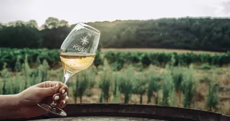 Domaine du Poujol Domaine du Poujol