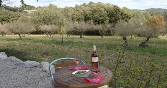 DOMAINE PUECH BOUTEILLE DOMAINE PUECH BOUTEILLE