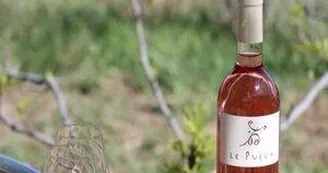 DOMAINE PUECH BOUTEILLE DOMAINE PUECH BOUTEILLE