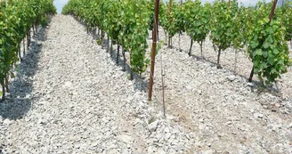A intégrer L'Art et le Vin A intégrer L'Art et le Vin