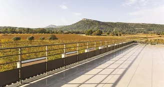 BERGERIE_AUTOMNE_domaine2024 BERGERIE_AUTOMNE_domaine2024