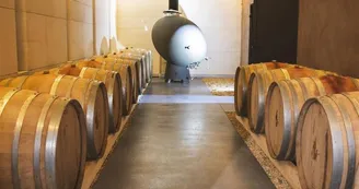 BERGERIE_AUTOMNE_domaine2024 BERGERIE_AUTOMNE_domaine2024