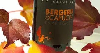 BERGERIE_AUTOMNE_domaine2024 BERGERIE_AUTOMNE_domaine2024