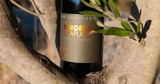 BERGERIE_AUTOMNE_domaine2024 BERGERIE_AUTOMNE_domaine2024