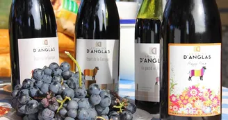 domaine d'anglas - Brissac_1 domaine d'anglas - Brissac_1