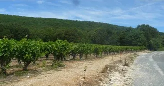 CHATEAU MONTEL 4 CHATEAU MONTEL 4