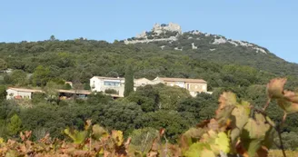 Héritage du Pic Saint-Loup - Domaine viticole Héritage du Pic Saint-Loup - Domaine viticole
