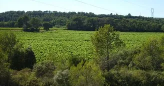 COU022 COU022