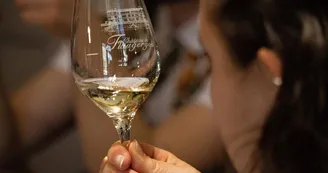CHATEAUFLAUGERGUES_VITICOLE_OTM_TSF_1 CHATEAUFLAUGERGUES_VITICOLE_OTM_TSF_1