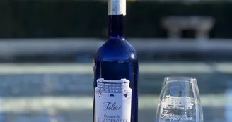 CHATEAUFLAUGERGUES_VITICOLE_OTM_TSF_1 CHATEAUFLAUGERGUES_VITICOLE_OTM_TSF_1