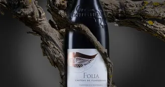CHATEAUFLAUGERGUES_VITICOLE_OTM_TSF_1 CHATEAUFLAUGERGUES_VITICOLE_OTM_TSF_1