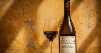CHATEAUFLAUGERGUES_VITICOLE_OTM_TSF_1 CHATEAUFLAUGERGUES_VITICOLE_OTM_TSF_1