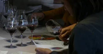 CHATEAUFLAUGERGUES_VITICOLE_OTM_TSF_1 CHATEAUFLAUGERGUES_VITICOLE_OTM_TSF_1