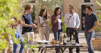 CHATEAUFLAUGERGUES_VITICOLE_OTM_TSF_1 CHATEAUFLAUGERGUES_VITICOLE_OTM_TSF_1