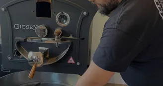 Montista Montista
