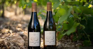 MoulindeGassac_CombeCalcaire_c_VincentBartoli MoulindeGassac_CombeCalcaire_c_VincentBartoli