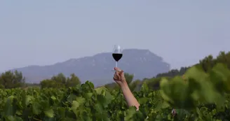 LES VIGNERONS DU PIC - 1 LES VIGNERONS DU PIC - 1