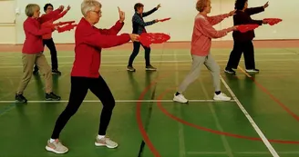 tai chi qi gong enchainement tai chi qi gong enchainement