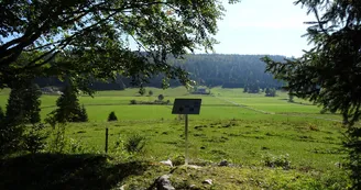 sentier combe des cives