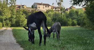 le village perché