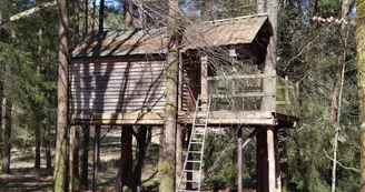 la cabane dans les arbres la cabane dans les arbres