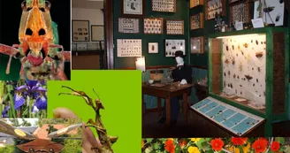 La_Cite_des_Insectes La_Cite_des_Insectes