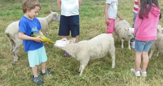 Les sabots de laine à St Hilaire Bonneval_3