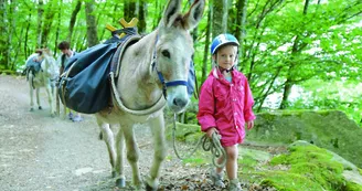 Ferme pédagogique Les Anes de Vassivière Ferme pédagogique Les Anes de Vassivière