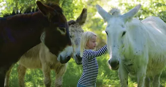 Ferme pédagogique Les Anes de Vassivière Ferme pédagogique Les Anes de Vassivière