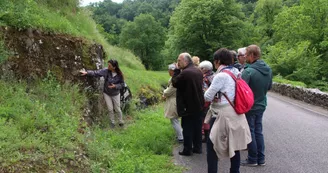 Visite guidée en extérieur de la réserve naturelle_4