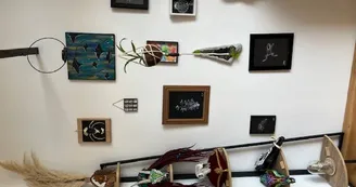 Cabinet de curiosités