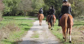 2-Poney-Club du Gué de selle