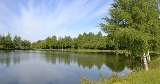 Etang de Champfrémont