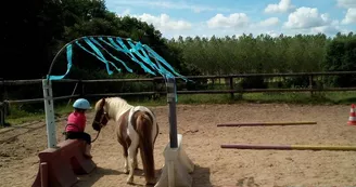 Haras de la chapellerie à Thorigne-en-Charnie