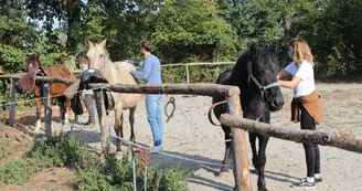 Prépartion balade éthologique