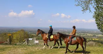 balade à cheval au montaigu