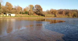 L'étang de la Blandinière