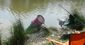 Au bord de l'étang des Perles