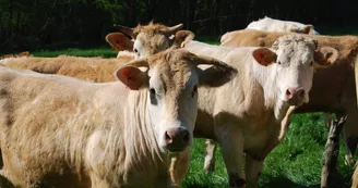 Au pré Au pré