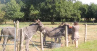 Gîte étape et séjour - Domaine des Mille Oiseaux : Le Grand Piaf