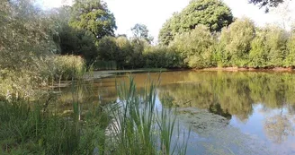 Domaine des Mille Oiseaux : Les Hirondelles
