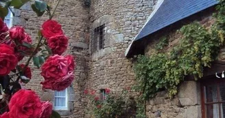 Gîte de groupe - Le Manoir des Loges Gîte de groupe - Le Manoir des Loges