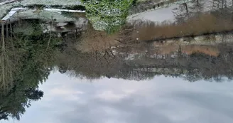 20251225_102539