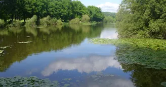Etang-des--Perles-12 Etang-des--Perles-12