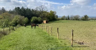 Ferme Pédagogique Pat'à foin Kids Ferme Pédagogique Pat'à foin Kids